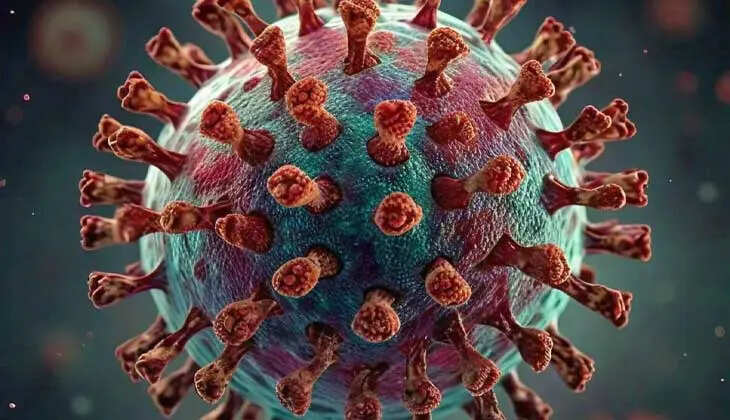 Monkeypox Confirmed in Kerala