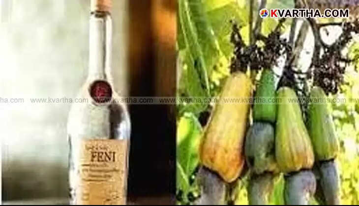 Cashew apples used for making feni, a low-alcohol spirit.