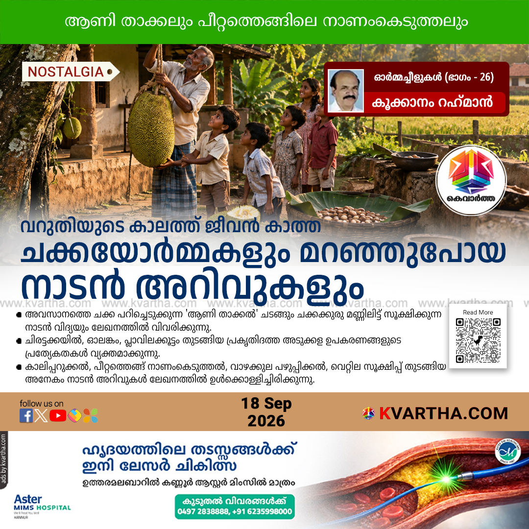 jackfruit memories lost village wisdom kookanam rahman 2026