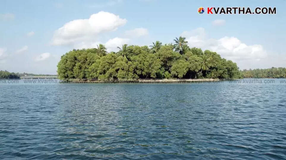 Kayakers on Vakkam Lake near Golden Island (Ponnumthuruthu) in Varkala, Kerala.