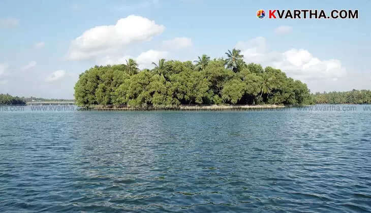 Kayakers on Vakkam Lake near Golden Island (Ponnumthuruthu) in Varkala, Kerala.