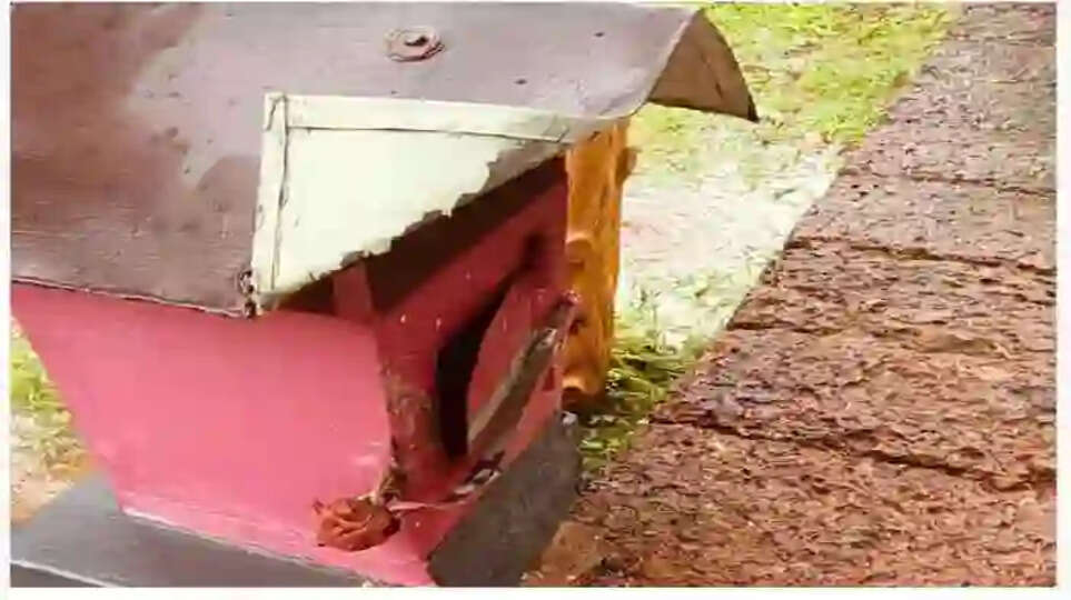 Temple treasury looted in Karivellur, Kannur, News, Robbery, Temple treasury, Police, Investigation, CCTV, Kerala News