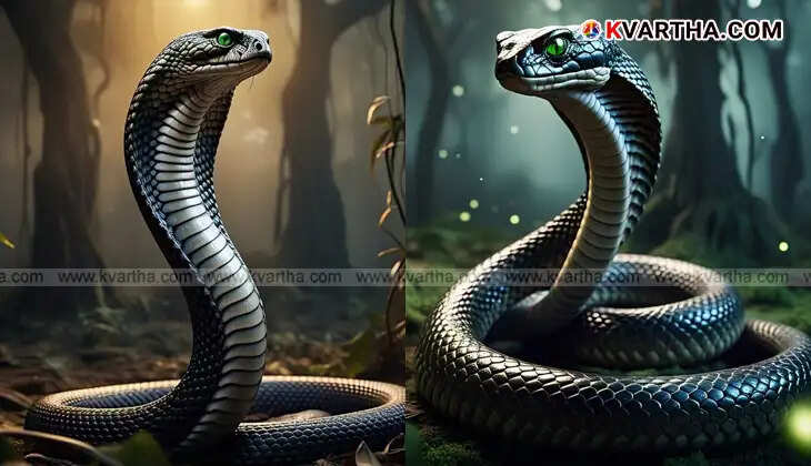 Safety precautions from snakes