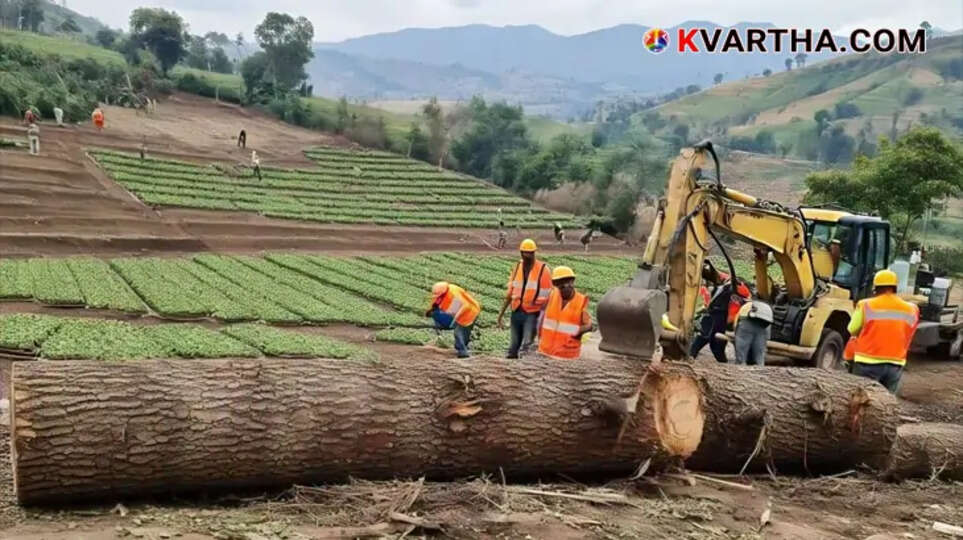 Allegations of Large Trees Being Cut and Transported from Government Land Provided for Cardamom Farming