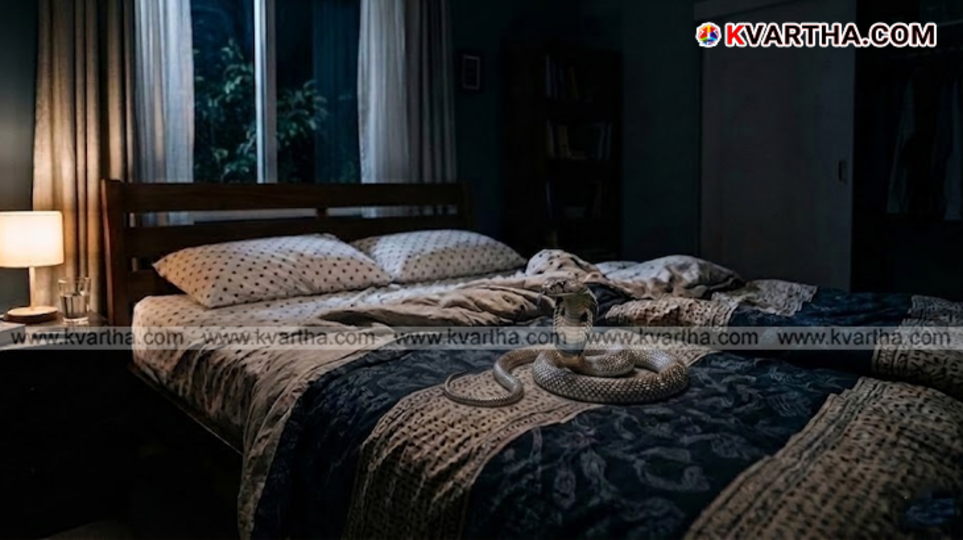 A symbolic image of Dikshal, who died of a snakebite under Chirayinkeezhu, and the scene of the incident.