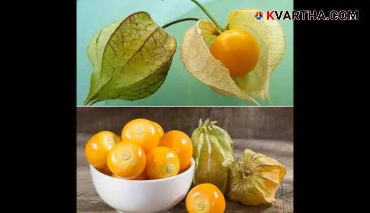 The Golden Berry: A Nutritional Powerhouse