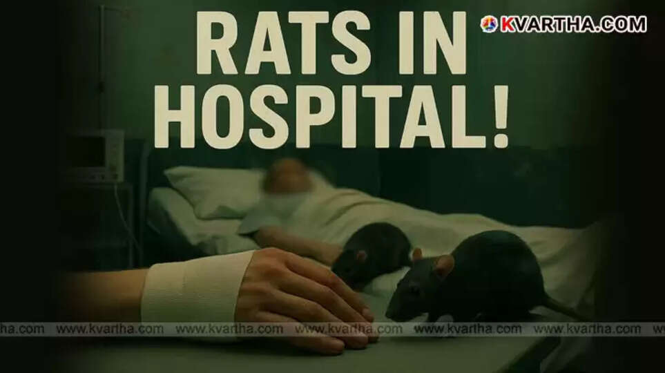 Patient's hand bitten by rat in hospital bed 
