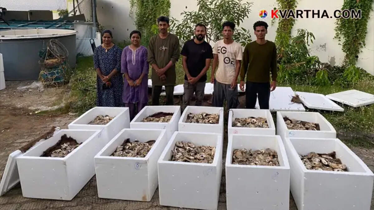 CMFRI providing oyster seeds to tribal farmers in Maharashtra.