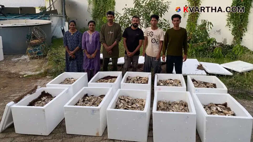 CMFRI providing oyster seeds to tribal farmers in Maharashtra.