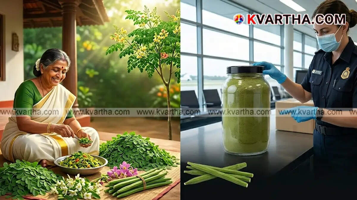 Fresh Moringa leaves and pods, known as a superfood, with a restriction sign conceptualizing the commercial ban