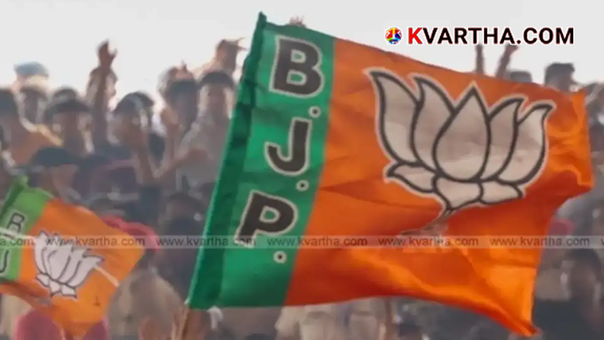 Representational image of BJP Flag