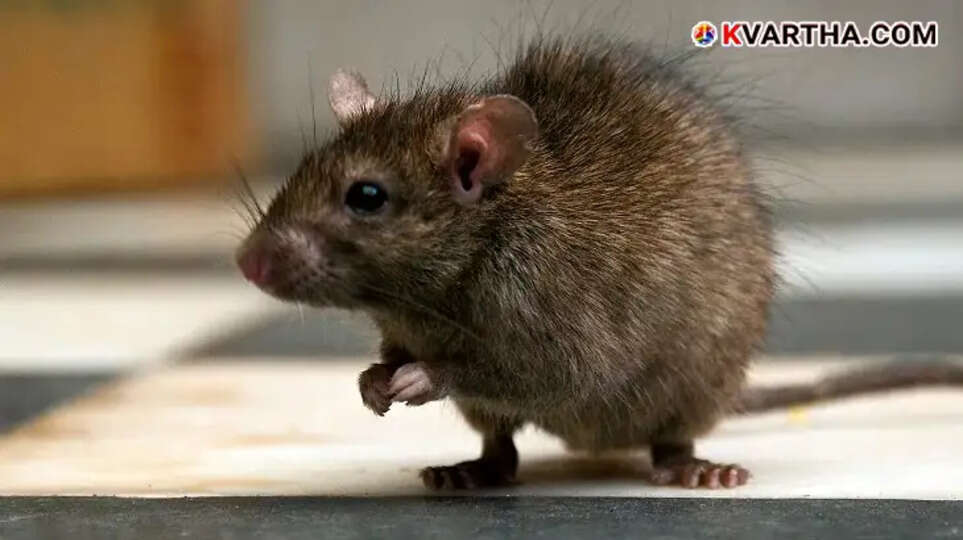 Elivisham Poisoning Tragedy, Children and Parents Affected