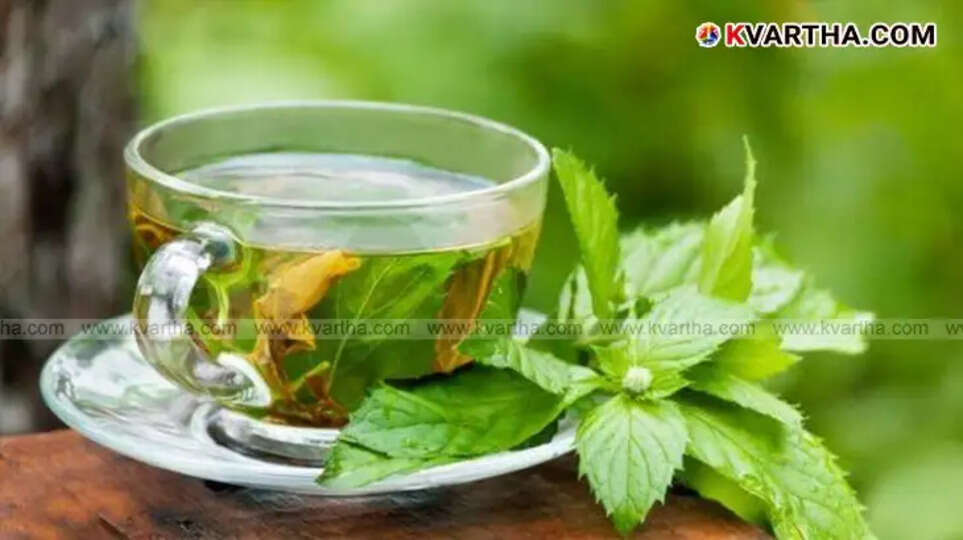  Green Tea benefits for health, preparing Green Tea