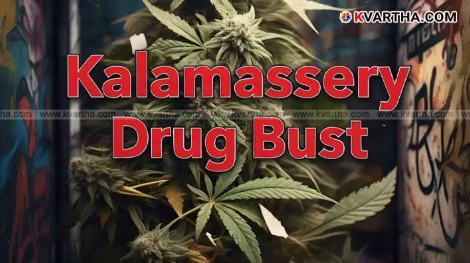 Kalamassery Drug Bust: More Details Emerge About Six-Month-Long Trade