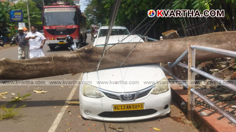 A massive uprooted Mayflower tree lying across the road and damaging a car near SN Park in Kannur.