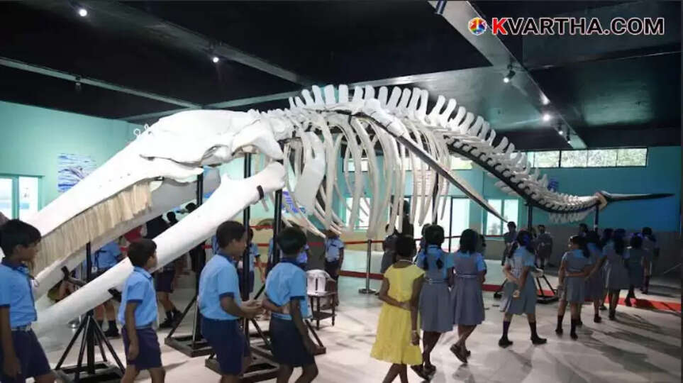 Huge Crowd at CMFRI Kochi Open House Exhibition Featuring 14 Meter Whale Skeleton and Rare Marine Life