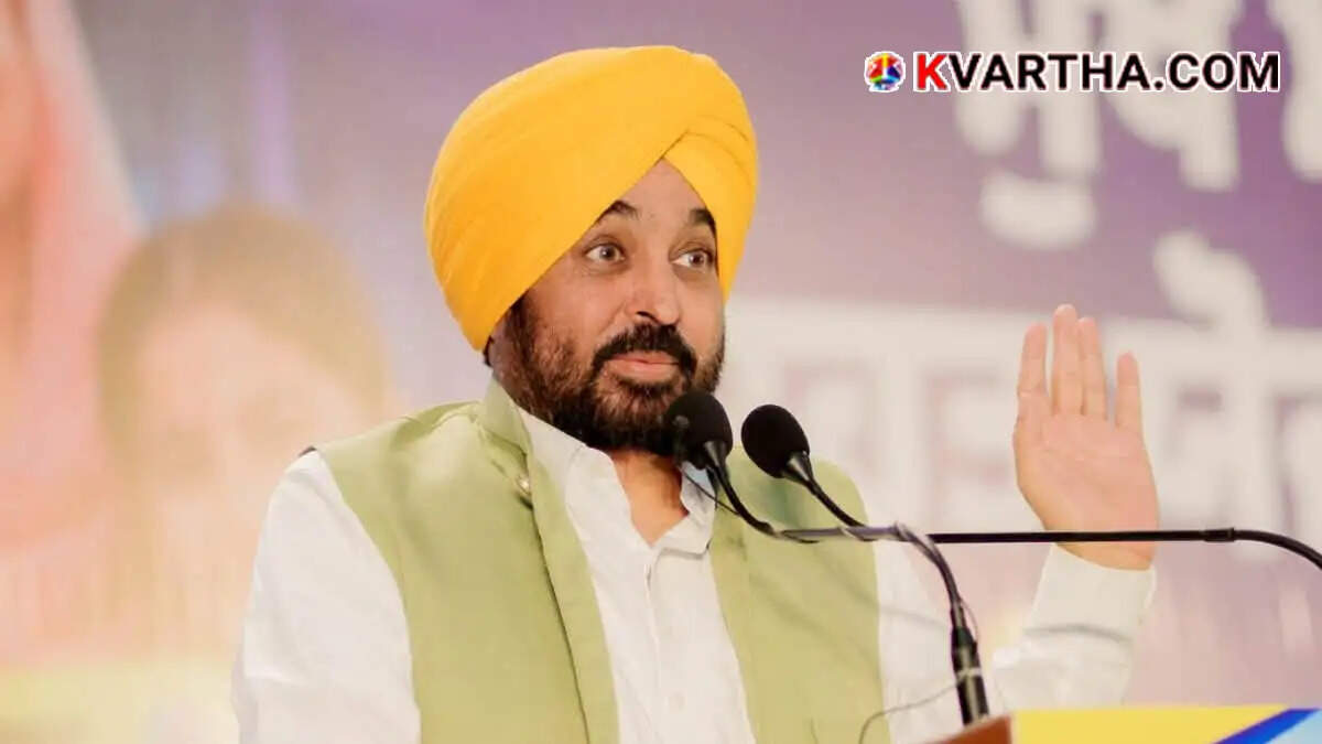 Image of Punjab CM Bhagwant Mann and Delhi Airport