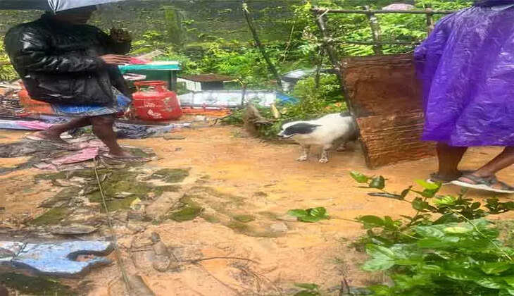 ayanad landslide, Kerala, India, natural disaster, rescue operations, death toll, tragedy, mudslide, disaster relief, emergency response