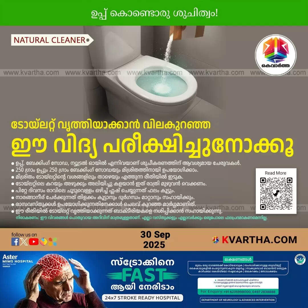 natural toilet cleaning salt baking soda hack
