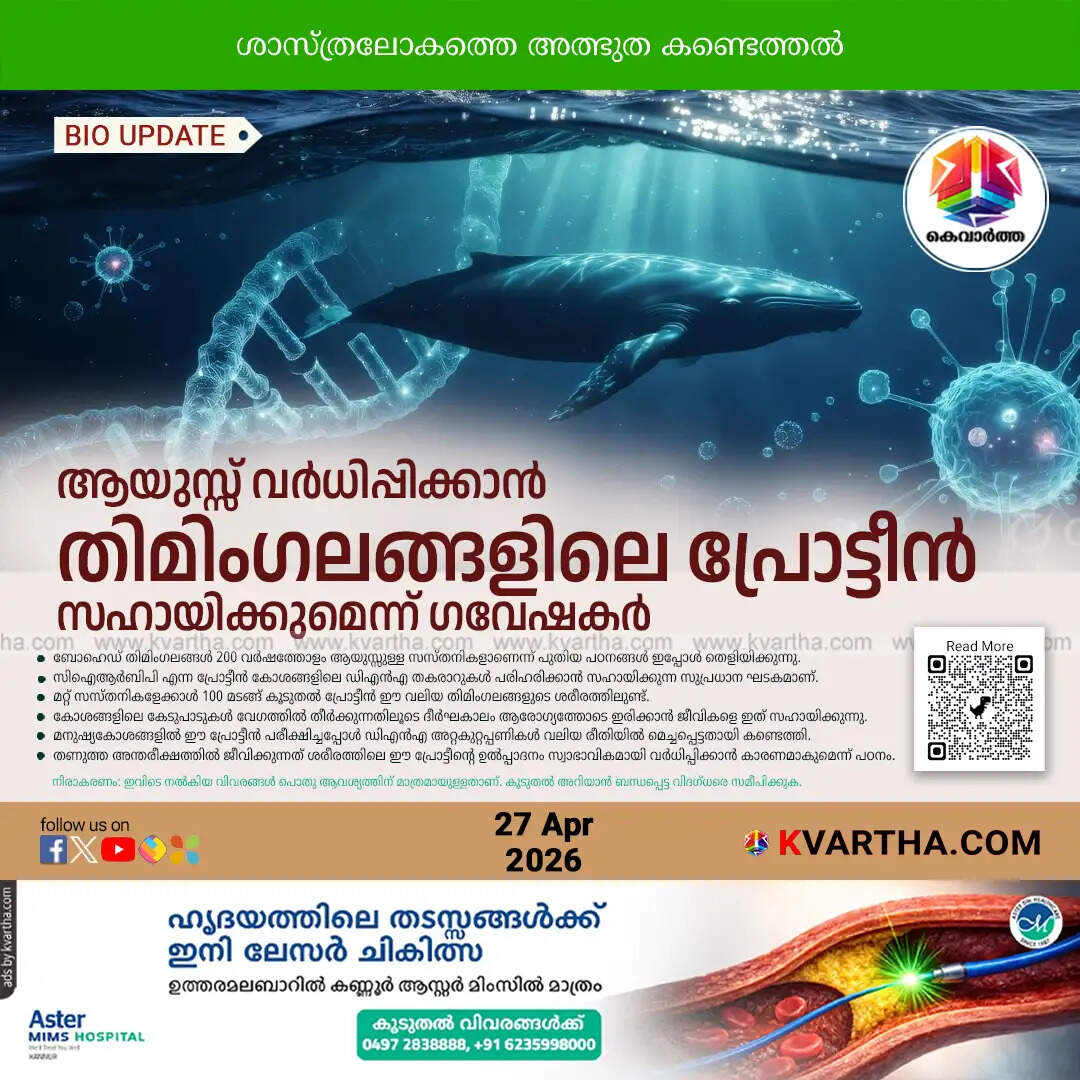 whale protein human longevity study 2026