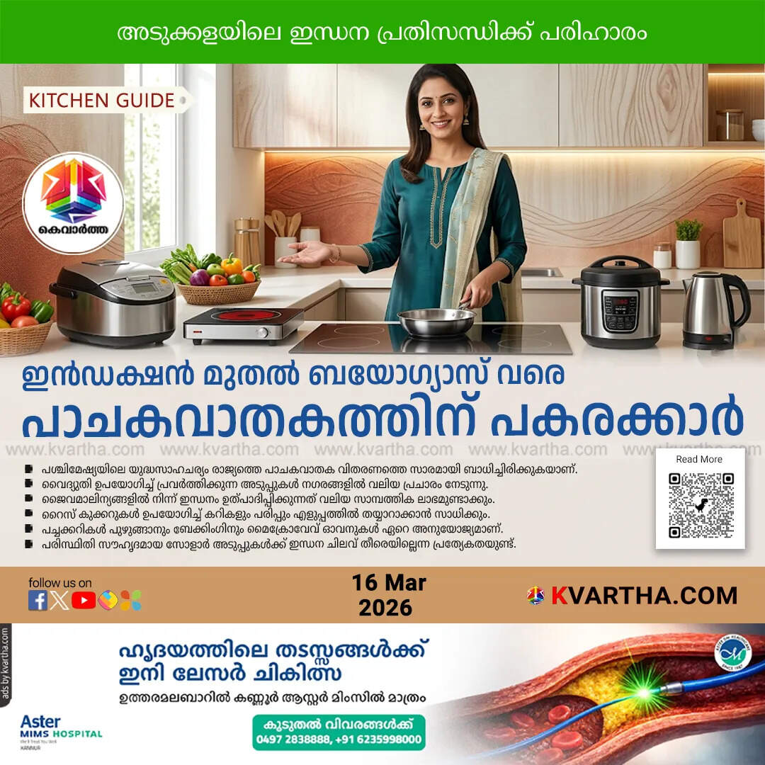 12 cooking gas alternatives lpg shortage india 2026