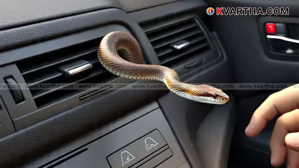 Rajeevan, the youth bitten by a snake, receiving treatment in a hospital bed.