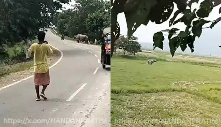 Rhino Attacks and Kills Biker in Assam