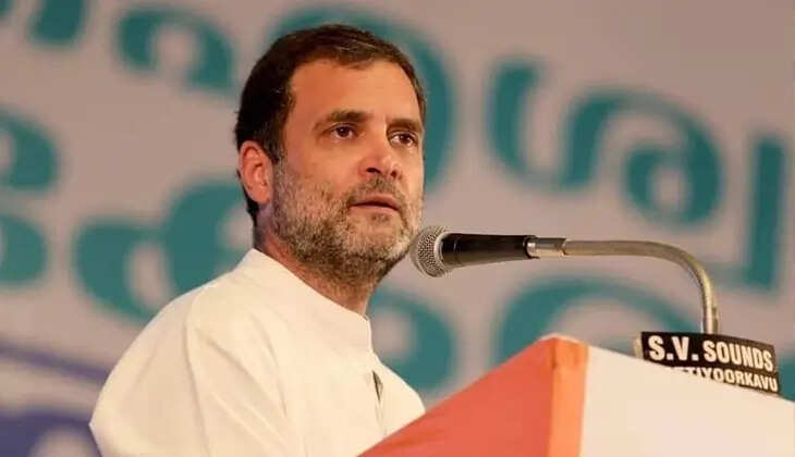 Rahul Gandhi, Politician