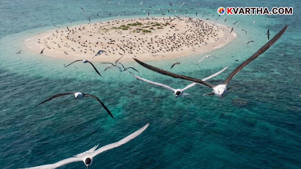 A beautiful view of the clear sea and tourism in Lakshadweep.
