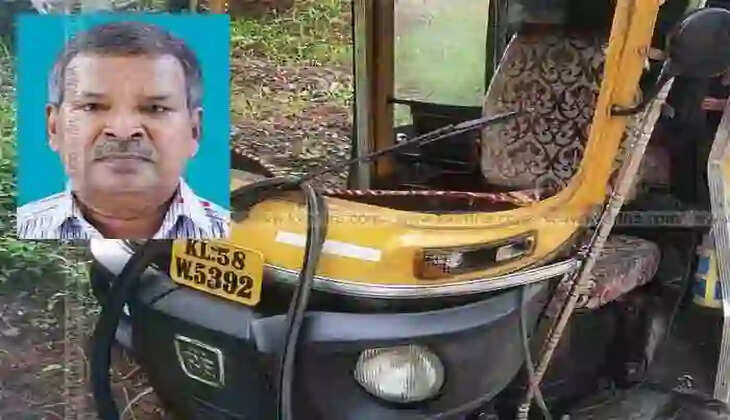 Old Man Died In Road Accident, Kannur, News, Accidental Death, Injury, Hospital, Obituary, Kerala News