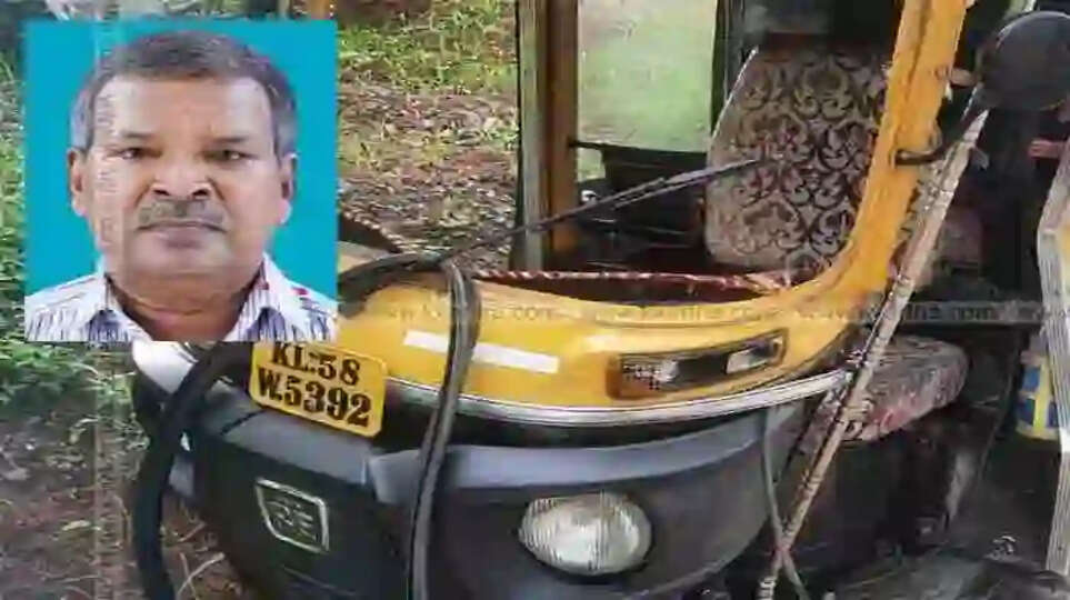 Old Man Died In Road Accident, Kannur, News, Accidental Death, Injury, Hospital, Obituary, Kerala News