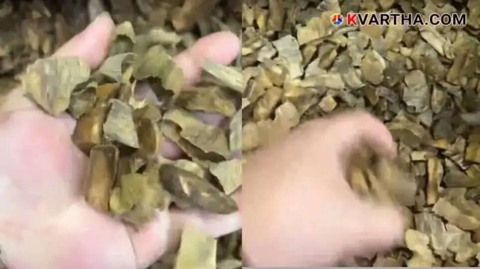 Kynam Wood: More Expensive Than Gold