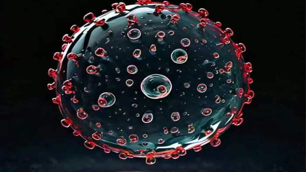 Chandipura Virus