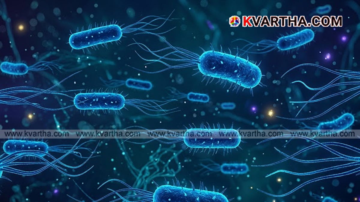 Medical representation of Shigella bacteria and outbreak alert.