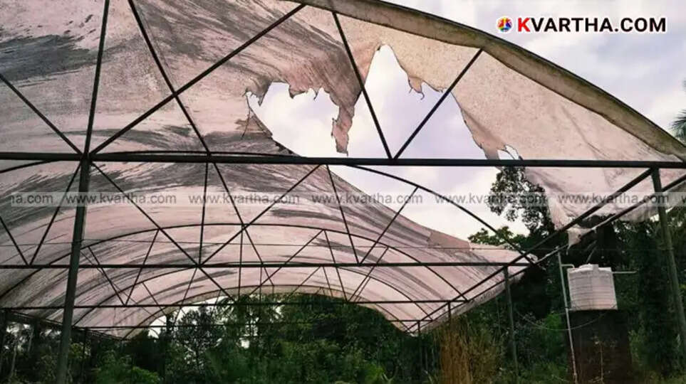 A symbolic scene of a destroyed farm and a house where violence took place in Payyannur.