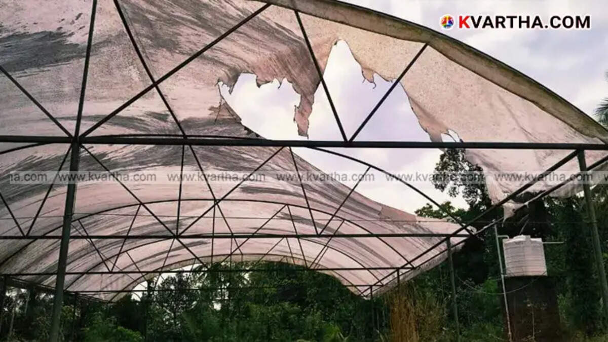 A symbolic scene of a destroyed farm and a house where violence took place in Payyannur.