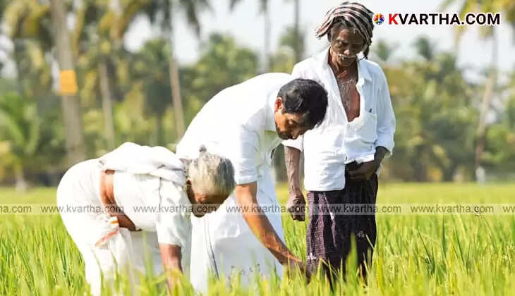 KC Venugopal listening to farmers in a paddy field in Palakkad.