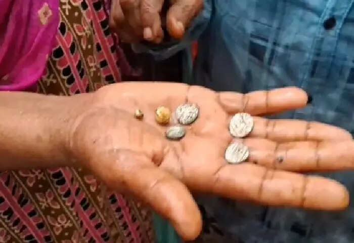 If we find treasure underground, can we use it?