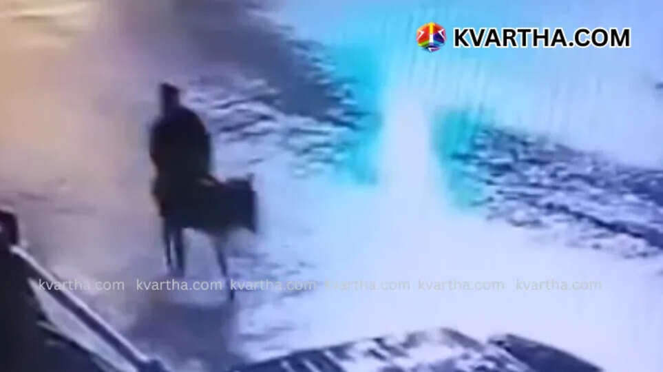 CCTV footage of thief escaping on a donkey after jewelry heist in Turkey