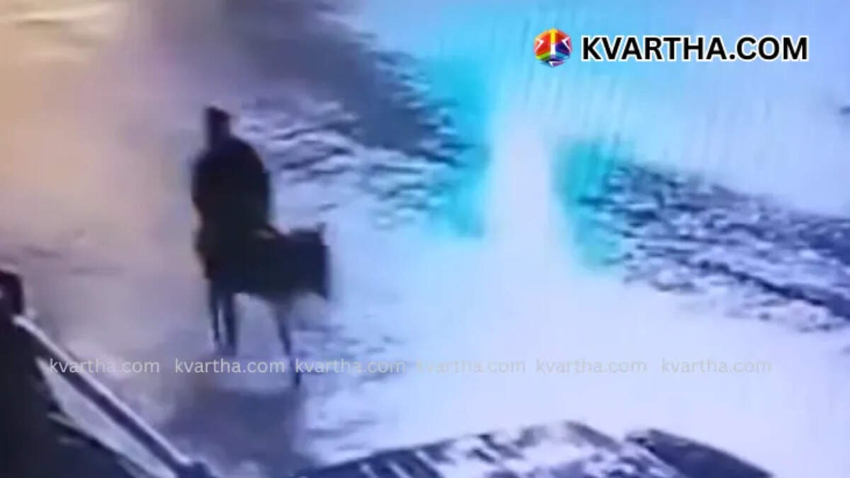 CCTV footage of thief escaping on a donkey after jewelry heist in Turkey
