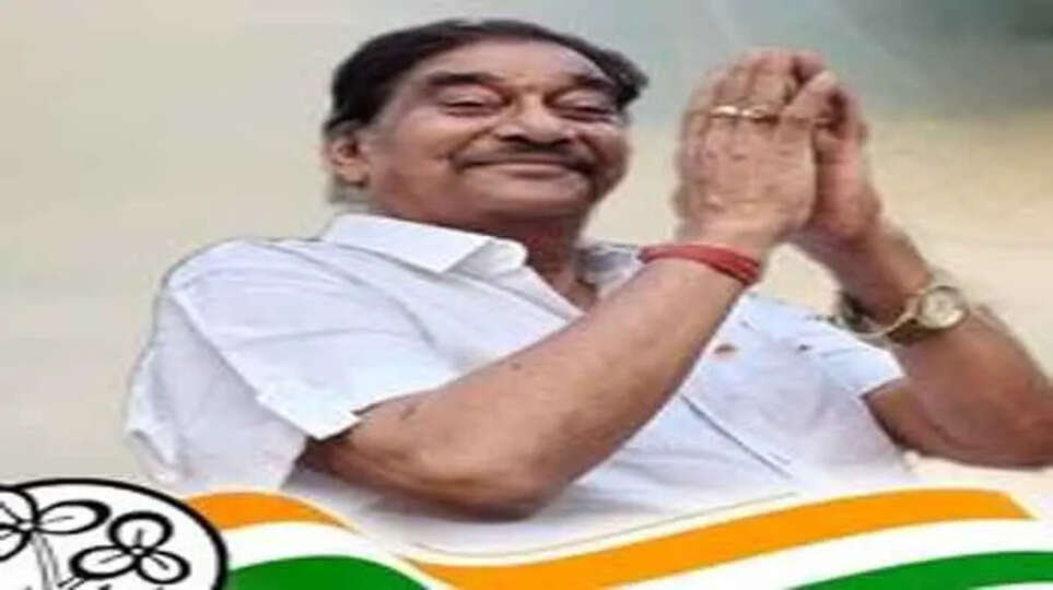 Trinamool Congress, Arnab Chakraborty, doctor protest, Kolkata, Assault, murder, Illegal remarks, gender equality, medical profession