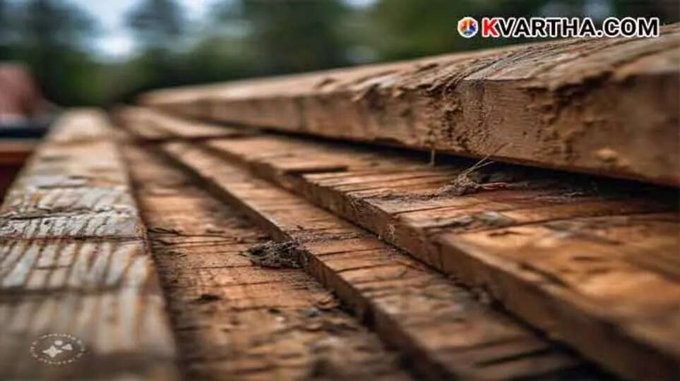 Pregnant Woman Injured by Falling Construction Plank in Alappuzha