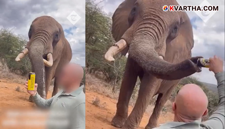 A picture of an elephant in a wildlife sanctuary in Kenya.