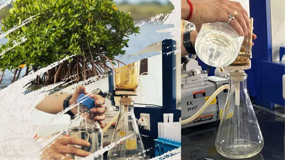 Marine life conservation training at CMFRI