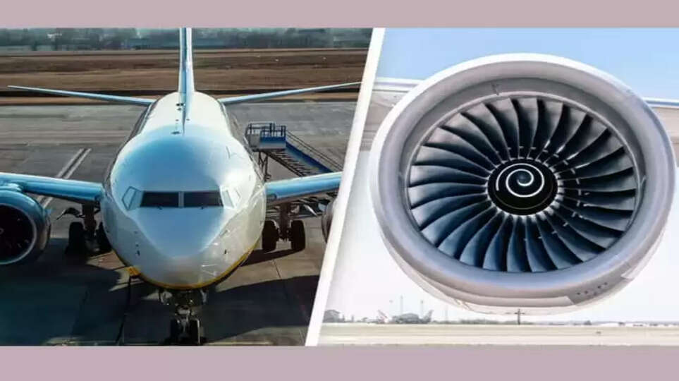 Person died after getting trapped in airplane engine at Netherlands airport, Person, Man Died, Getting Trapped, Airplane, Engine