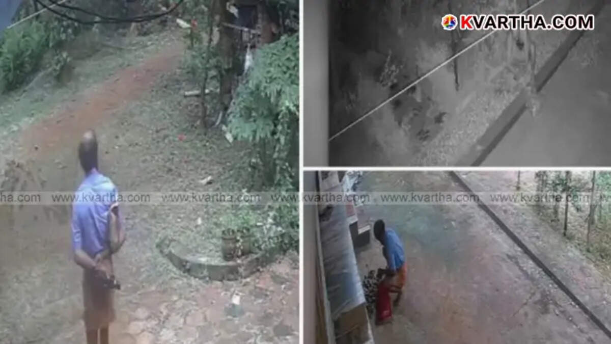 A still image from CCTV footage showing the suspect T.P. Thampan stealing coconuts.