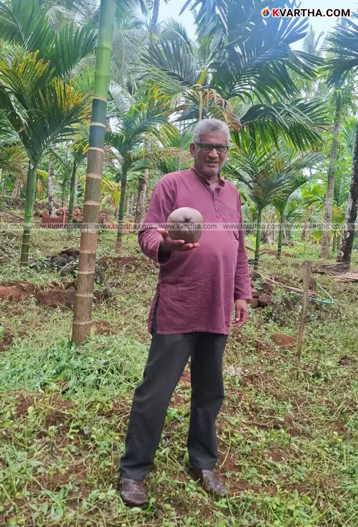  Hamsa from Cherupuzha, the borewell locating expert.