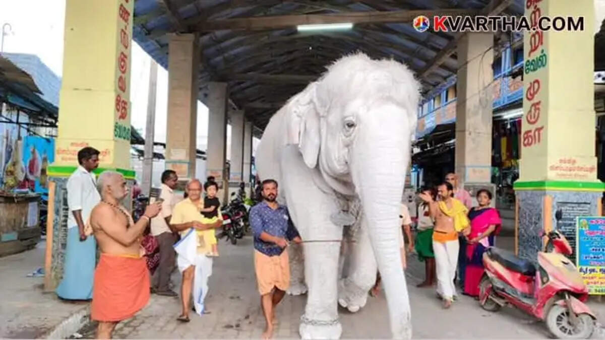 Mahout and his relative dead after elephant attack during Annadhanam Ceremony in Tamil Nadu Temple 