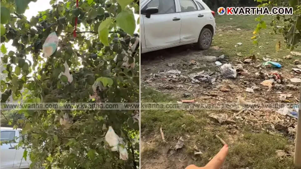  Tree in Varanasi covered in used plastic diapers.