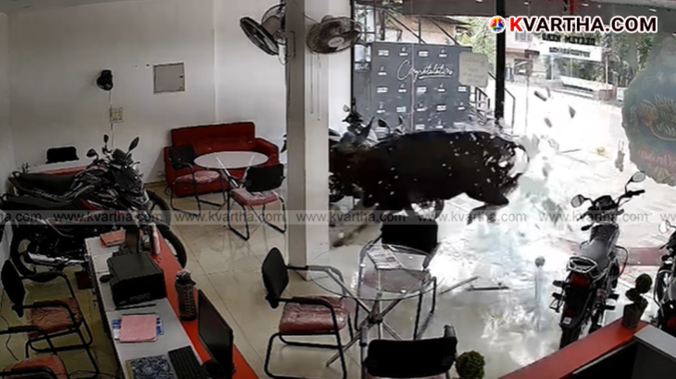 Broken glass front of a shop or showroom.